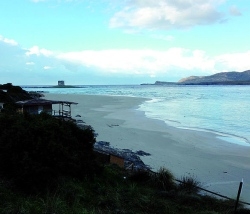 Spiaggia  "La Pelosa"